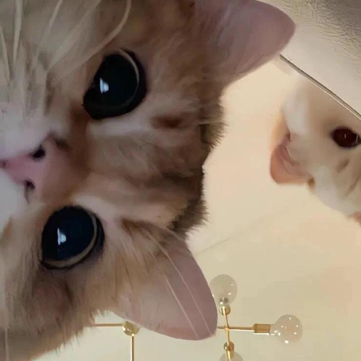 耶斯穆拉🌈🌻