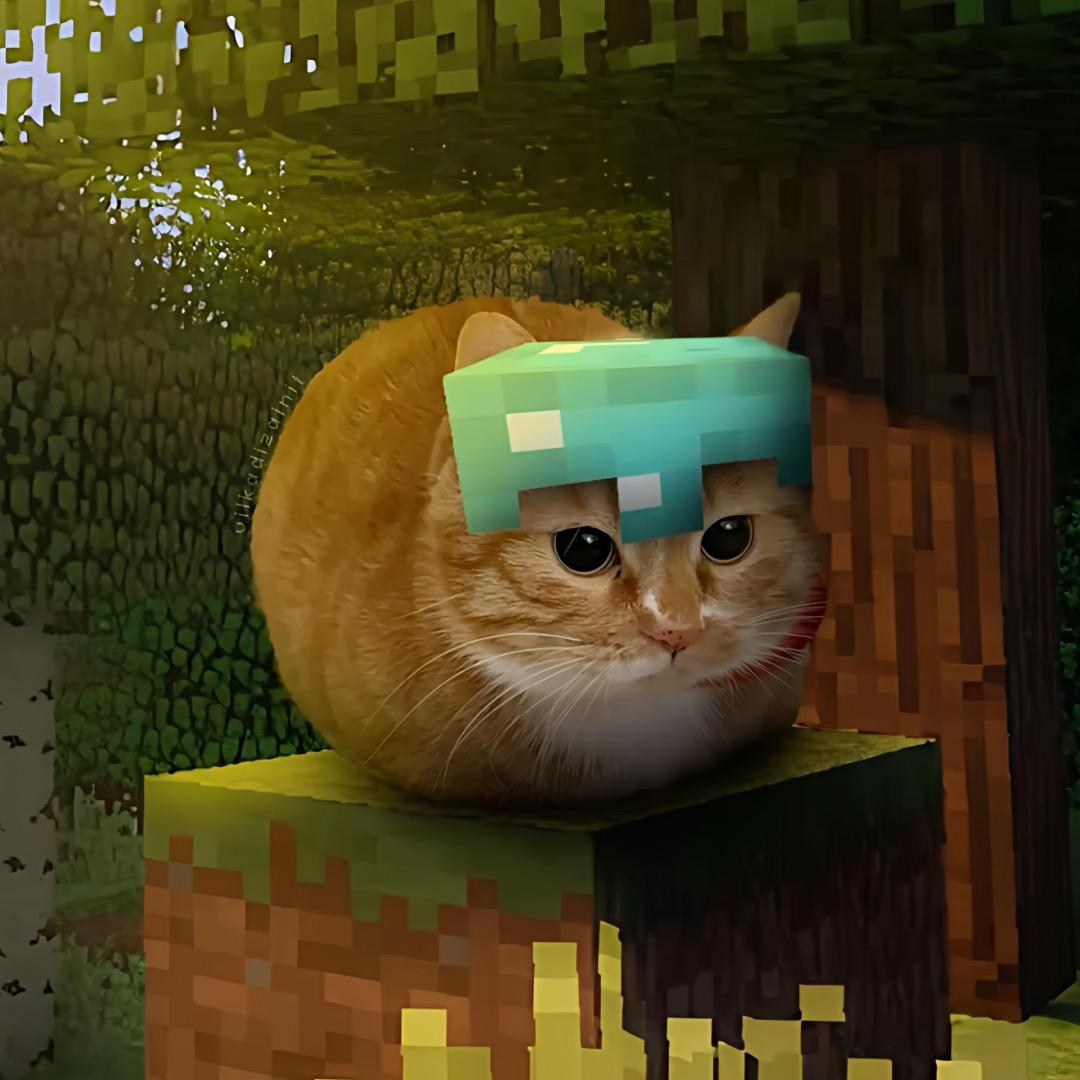 小陈博士开饭啦