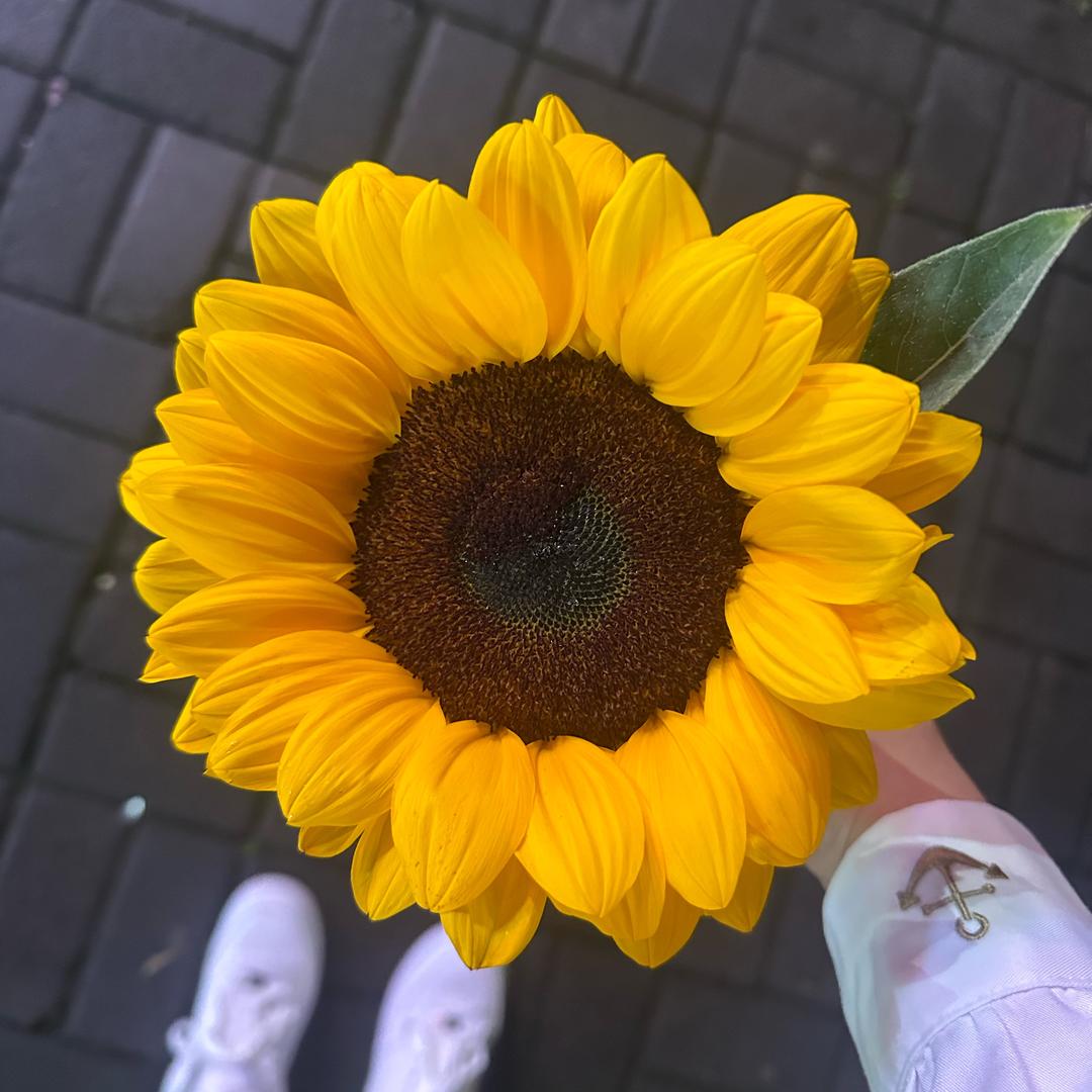 涌康足浴(恒利·城市先锋店)官方号