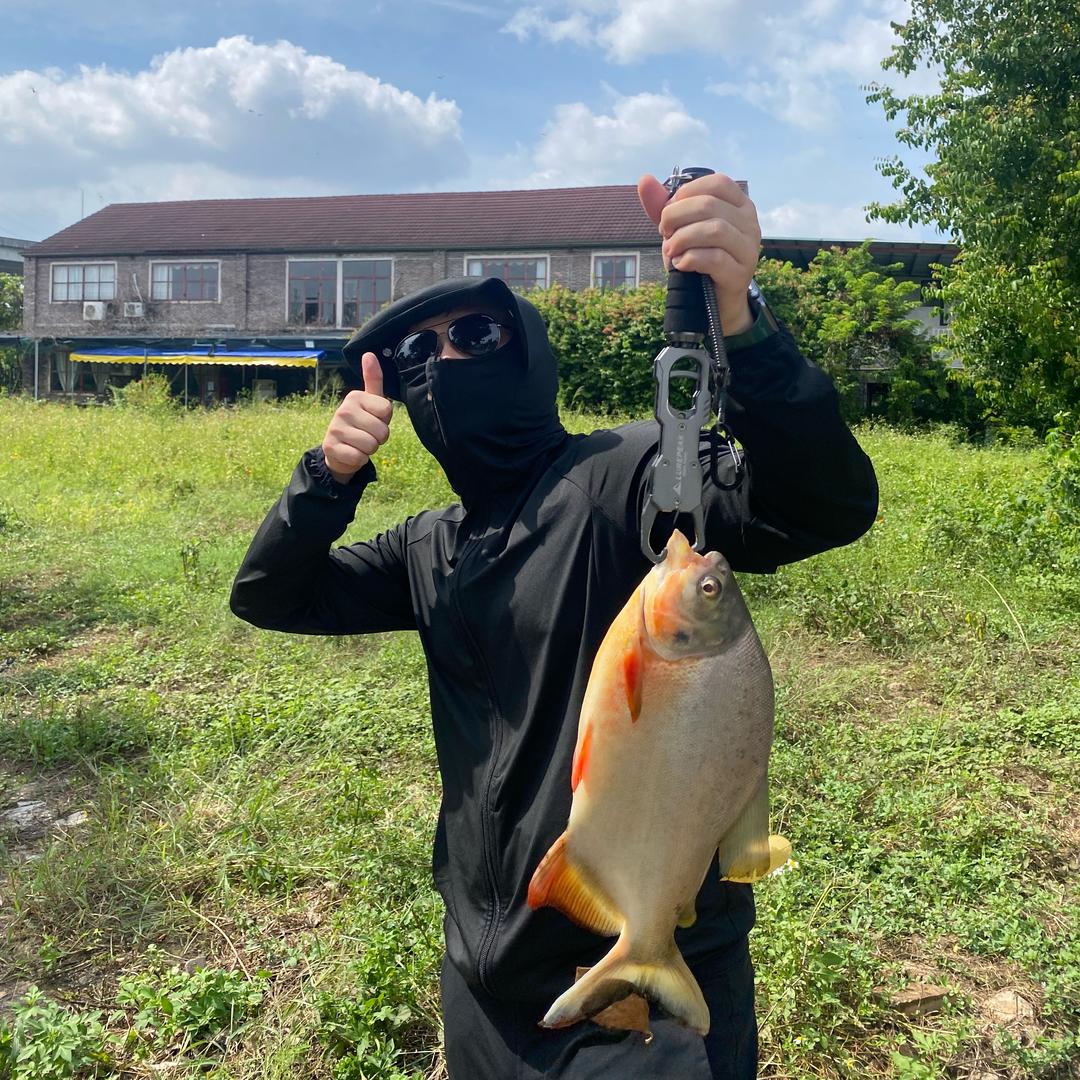 武汉网约车第一深情