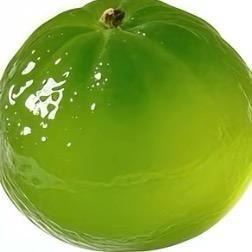 青子橘