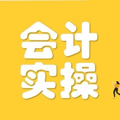 会计实操-丽丽