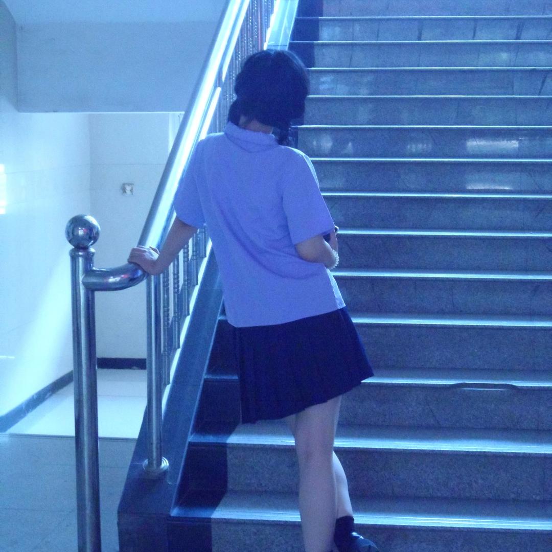 会发财的叶子