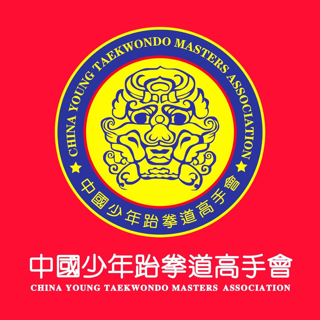 少年跆拳道高手會