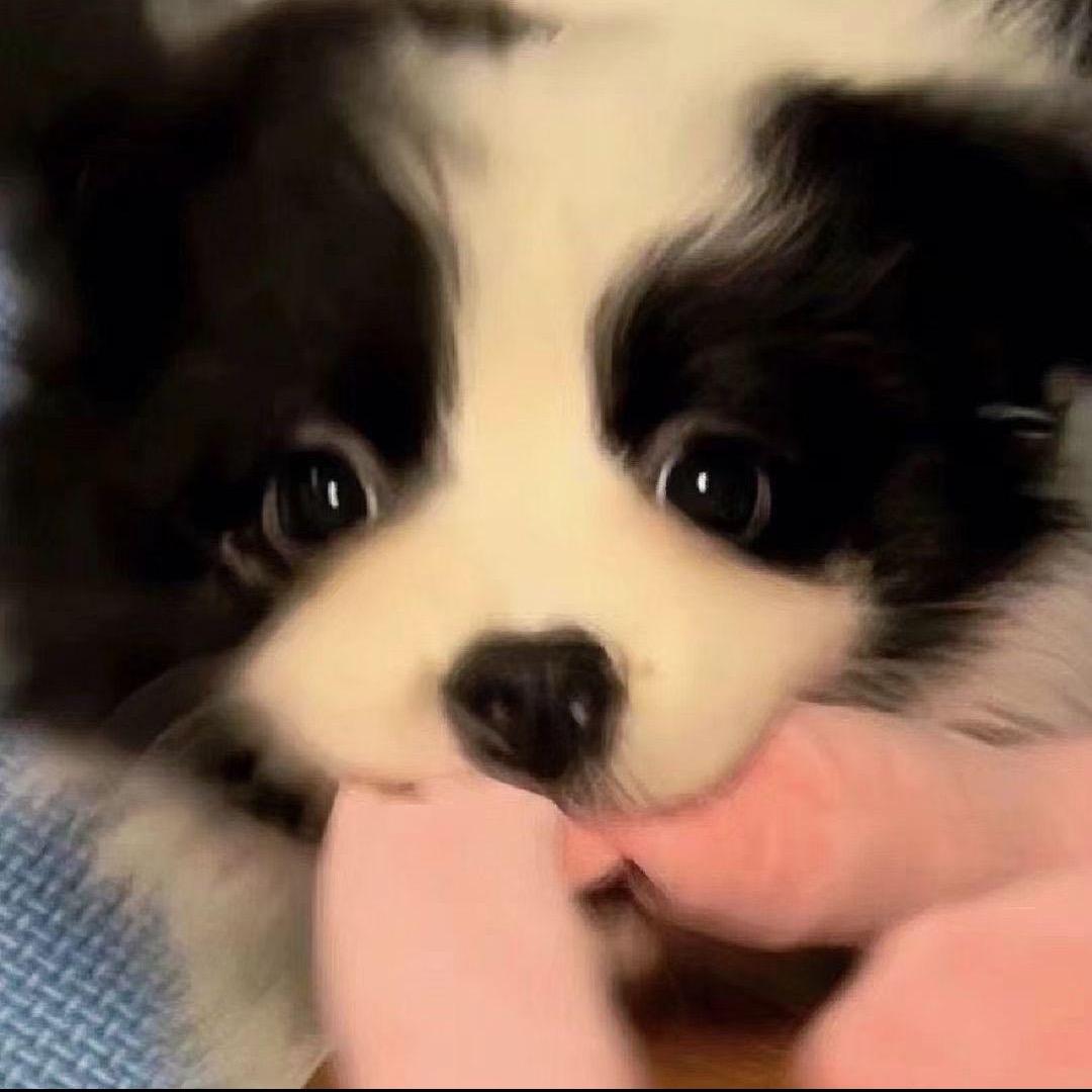 最爱吃香菜ovo