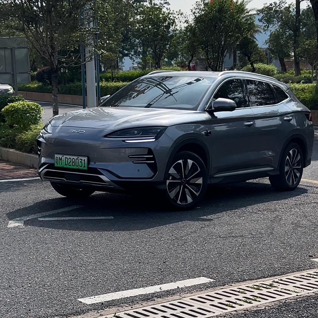 灰小迪宋plus