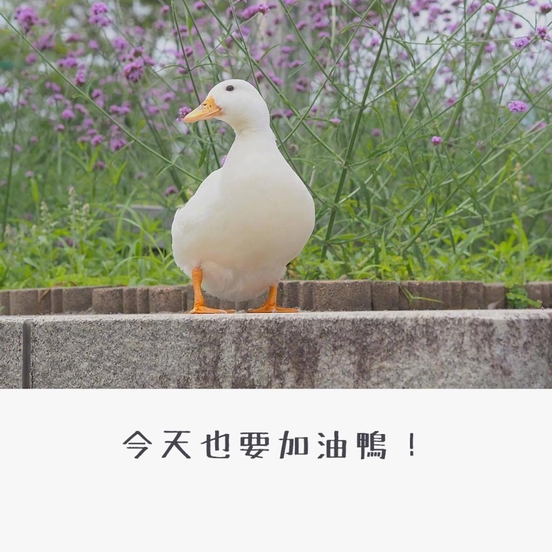 七豆八不豆🌈