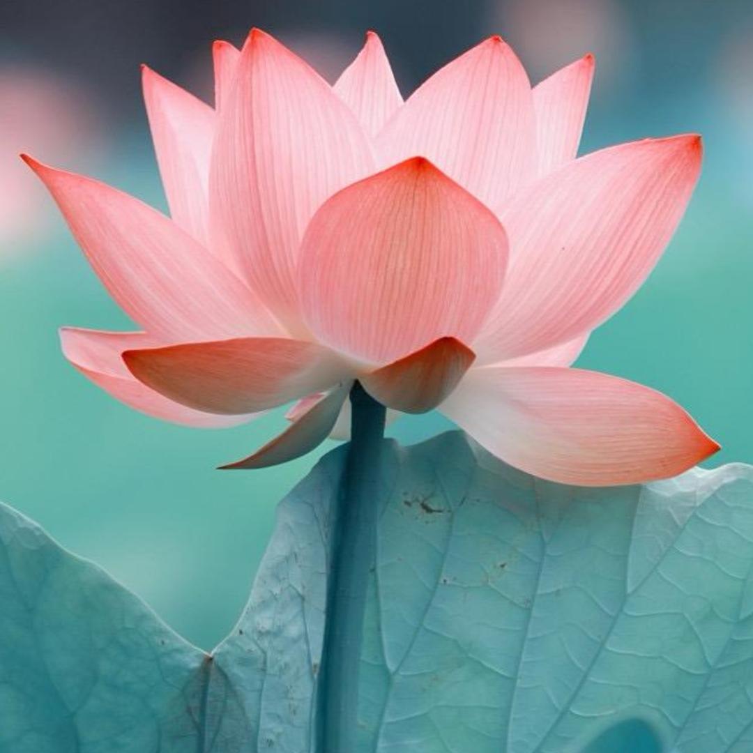 RR ㅤ   ︌ㅤㅤ   ︌ㅤㅤ   ︌