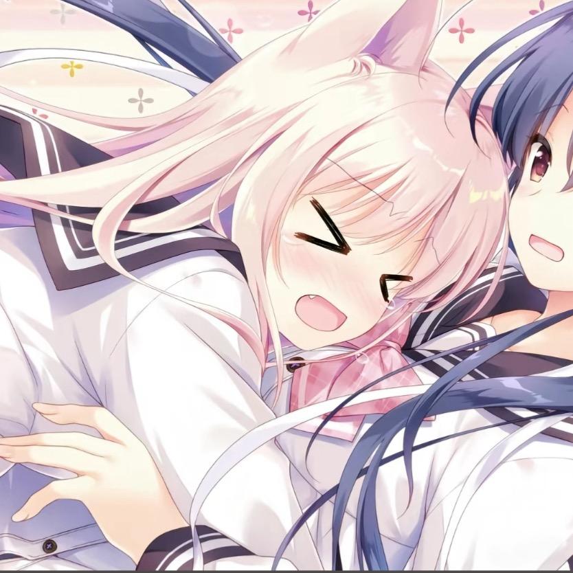 古德猫ning