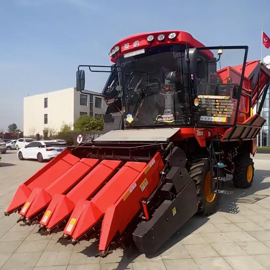 小王🌽玉米双收