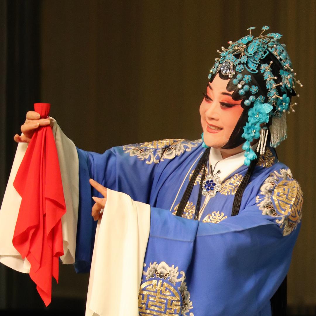 秦腔党美丽