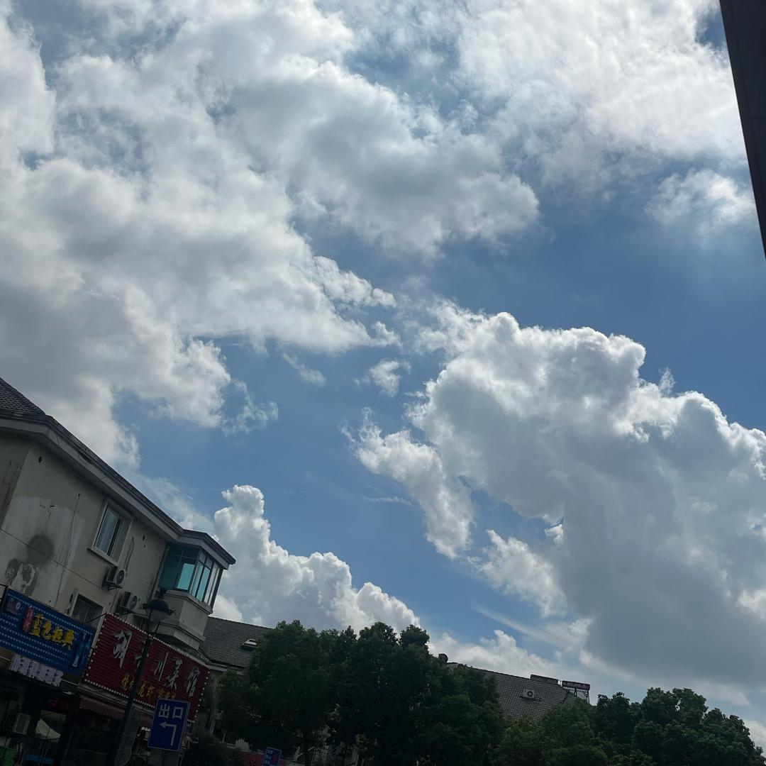 阿九。A