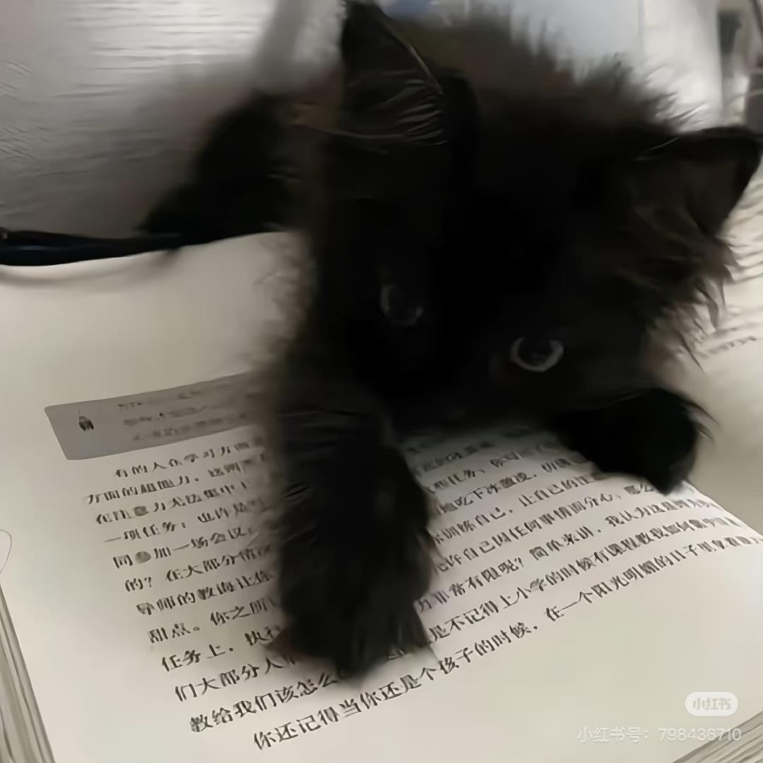 对我好点～