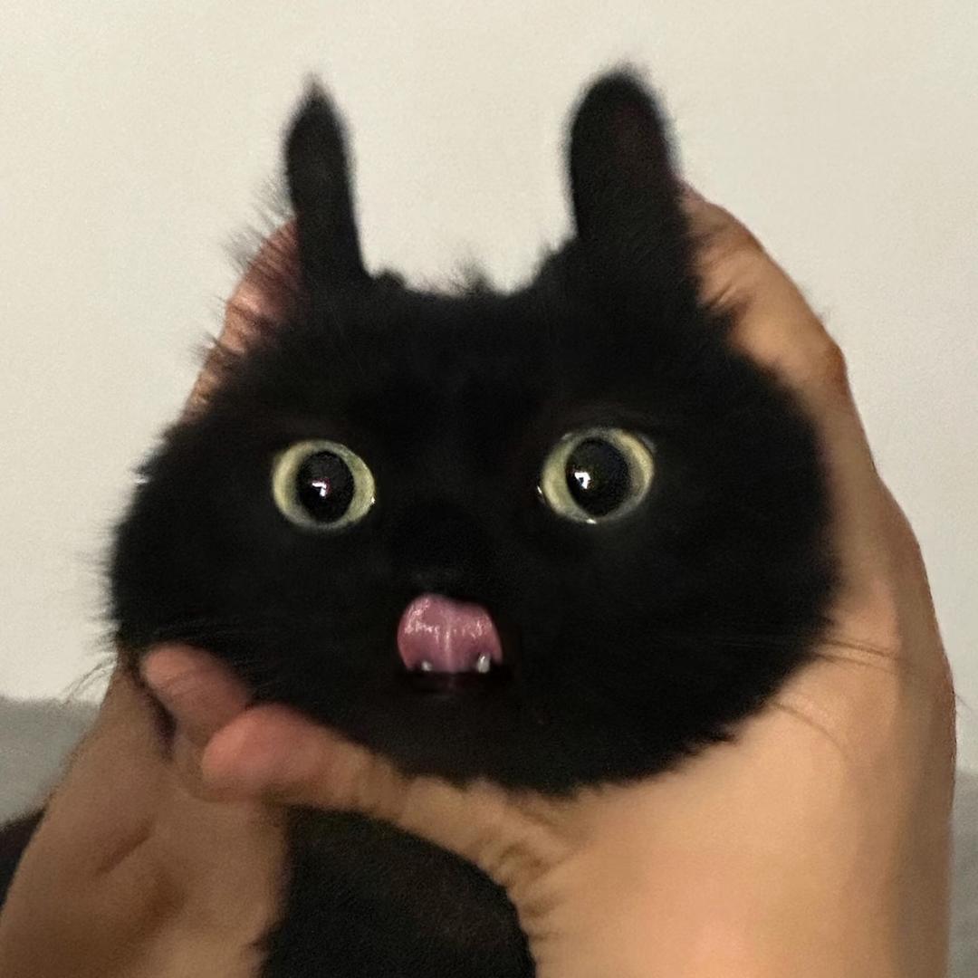 𝙞𝙪𝙠𝙤𝙞𝟳𝟳