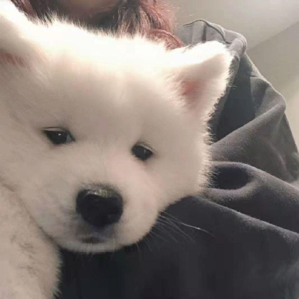 辉辉吖~