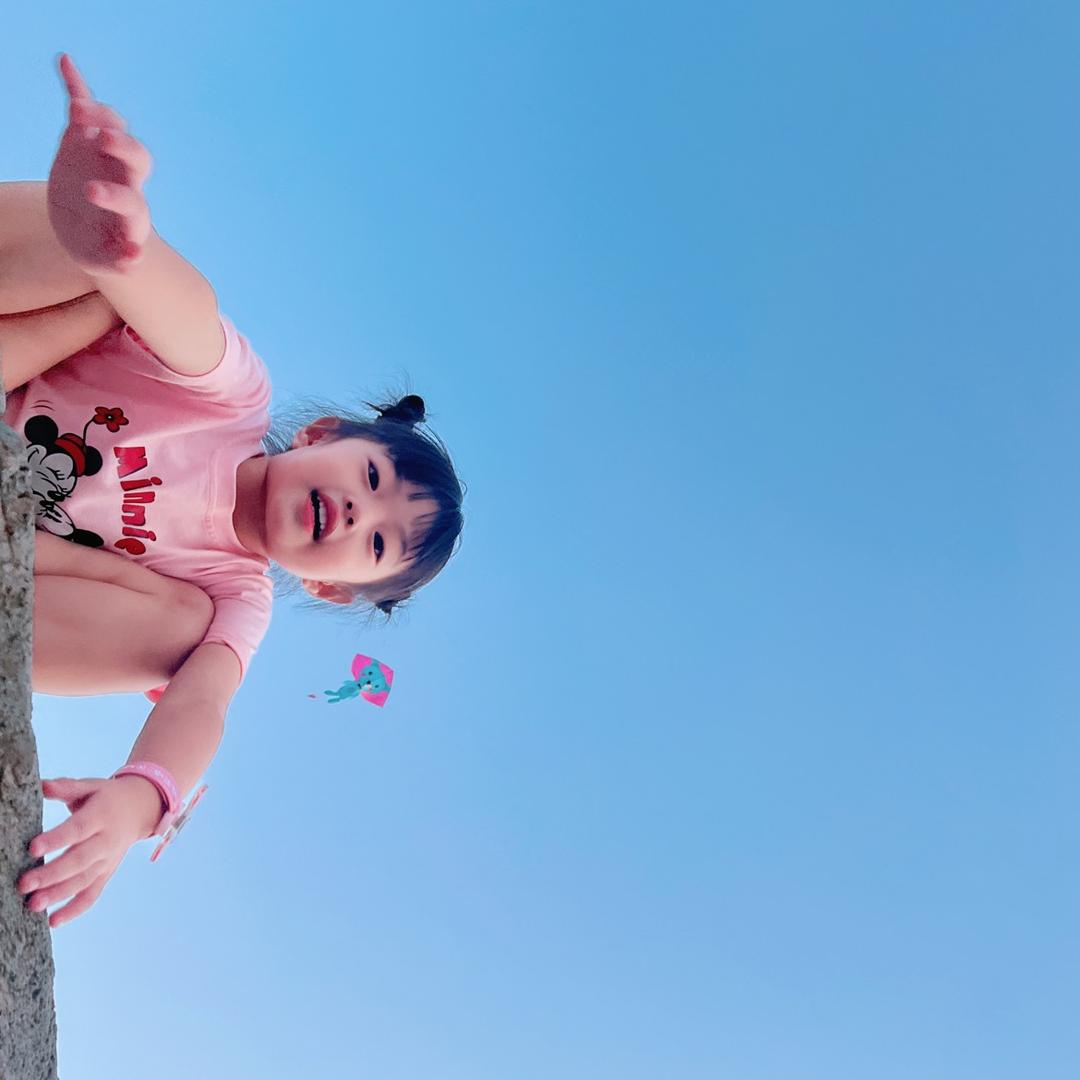 诺诺