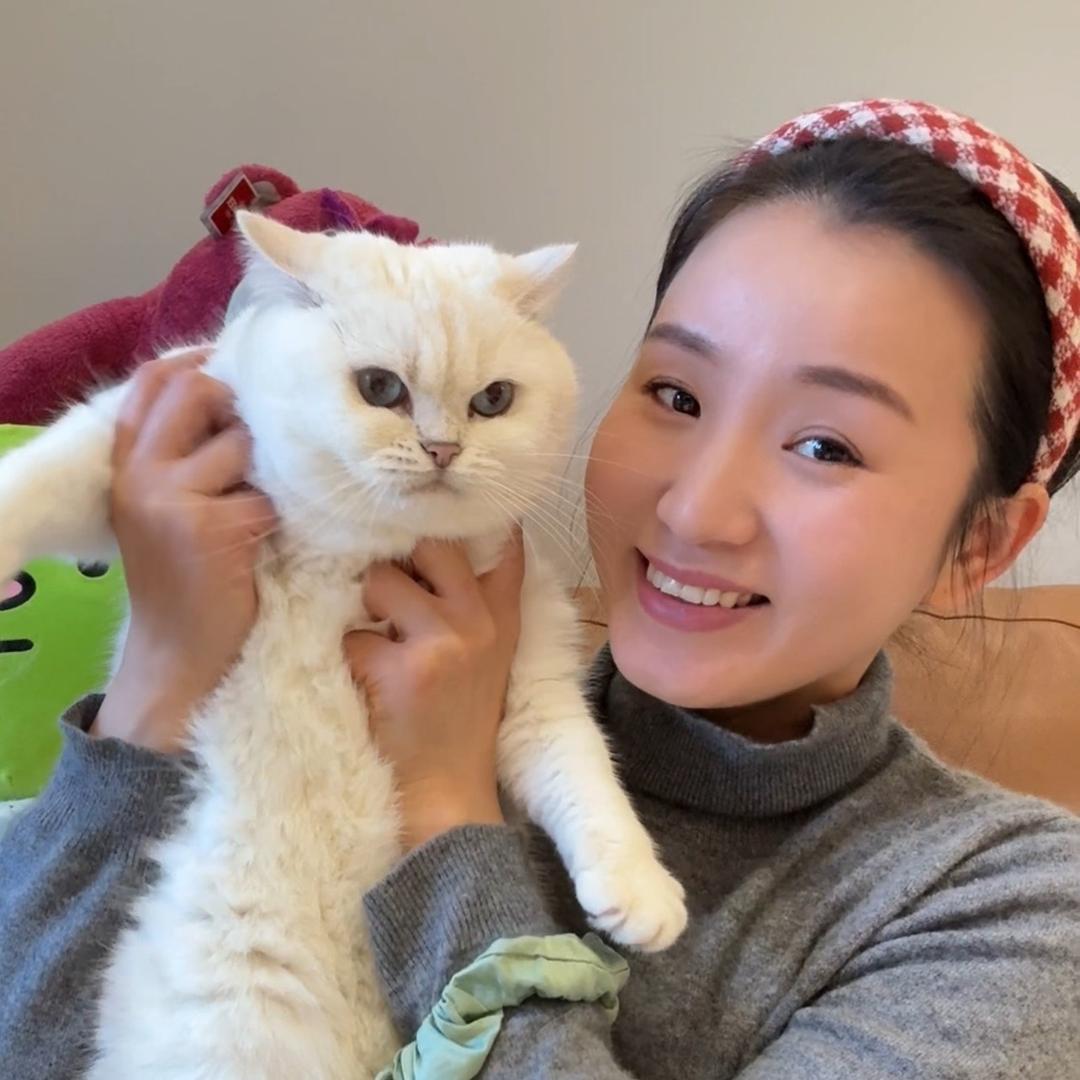 小妖晶耿耿