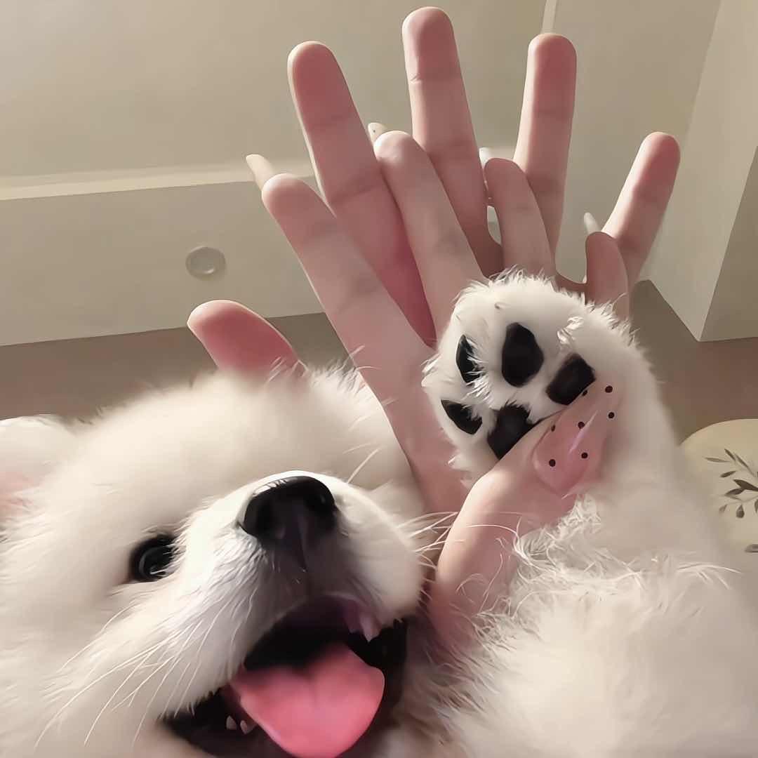 洝