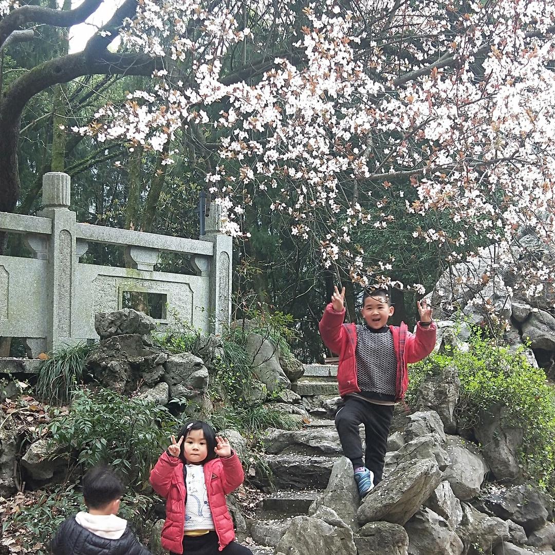 邻家小院