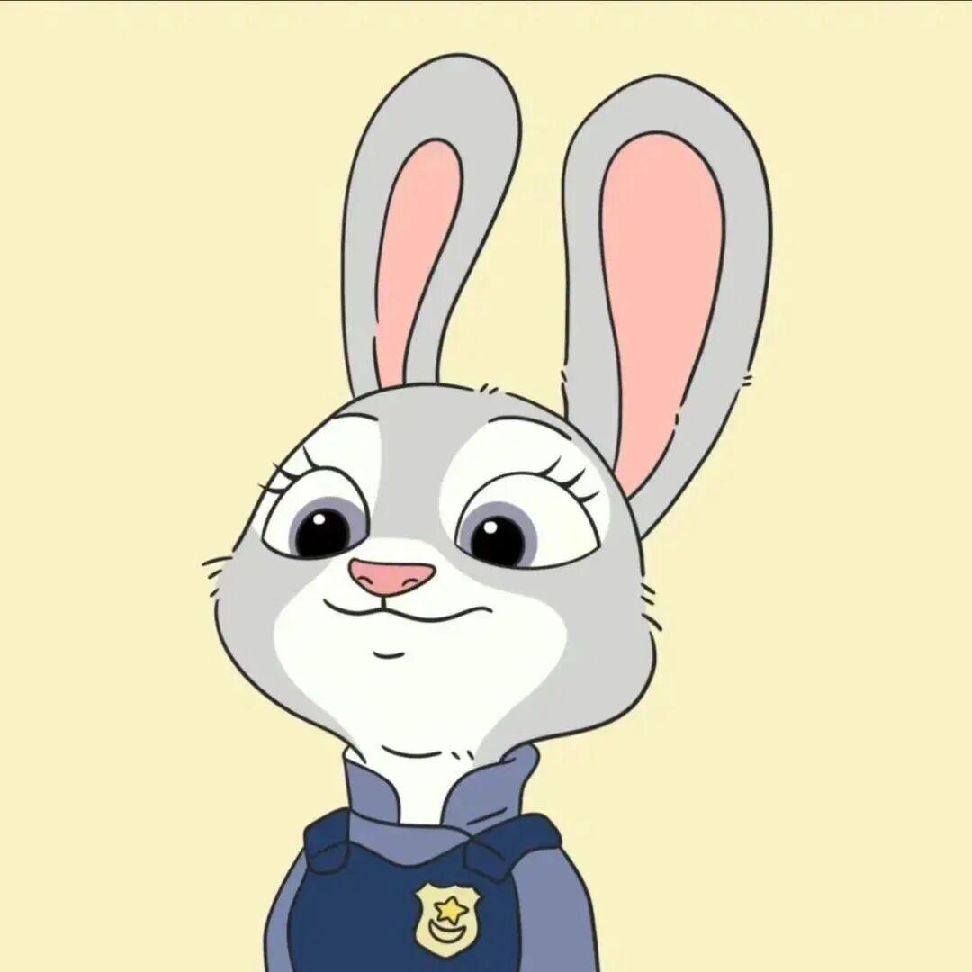 🌙禾禾沐哇ʕ ᵔᴥᵔ ʔ