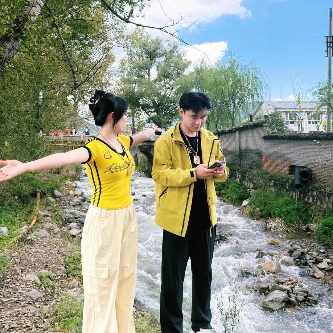山茶花