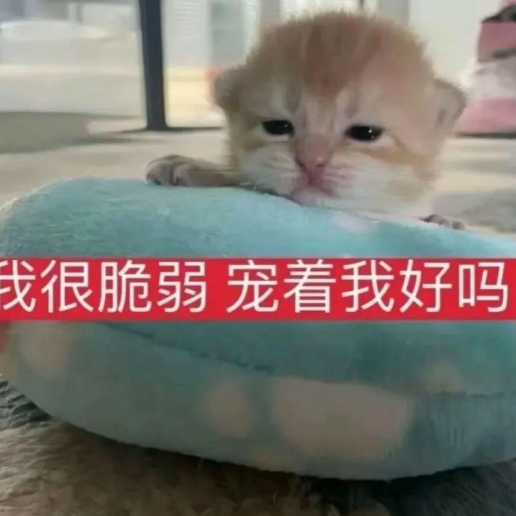 你不会想我我也没想谁