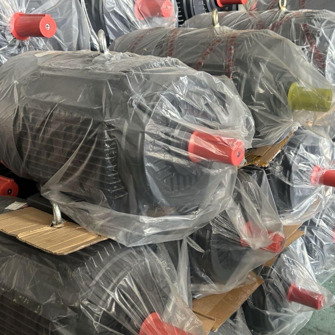 佛山市南海朝阳 豹步电机