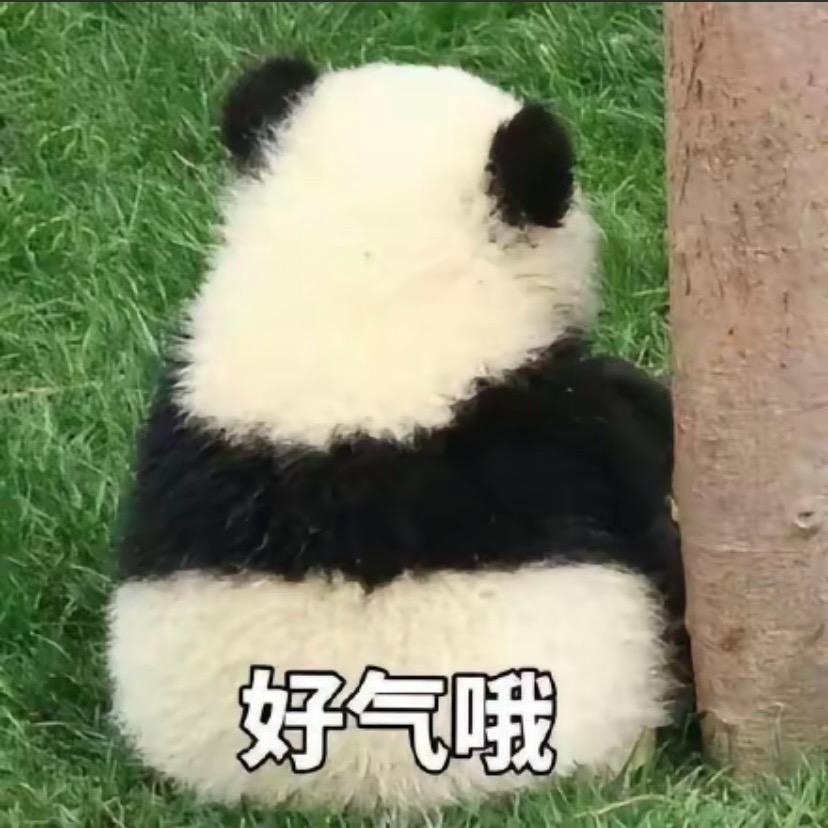 苏苏啊