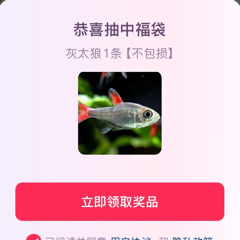 🌈小骗子