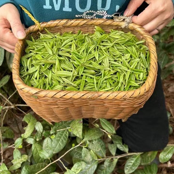 天然可乐