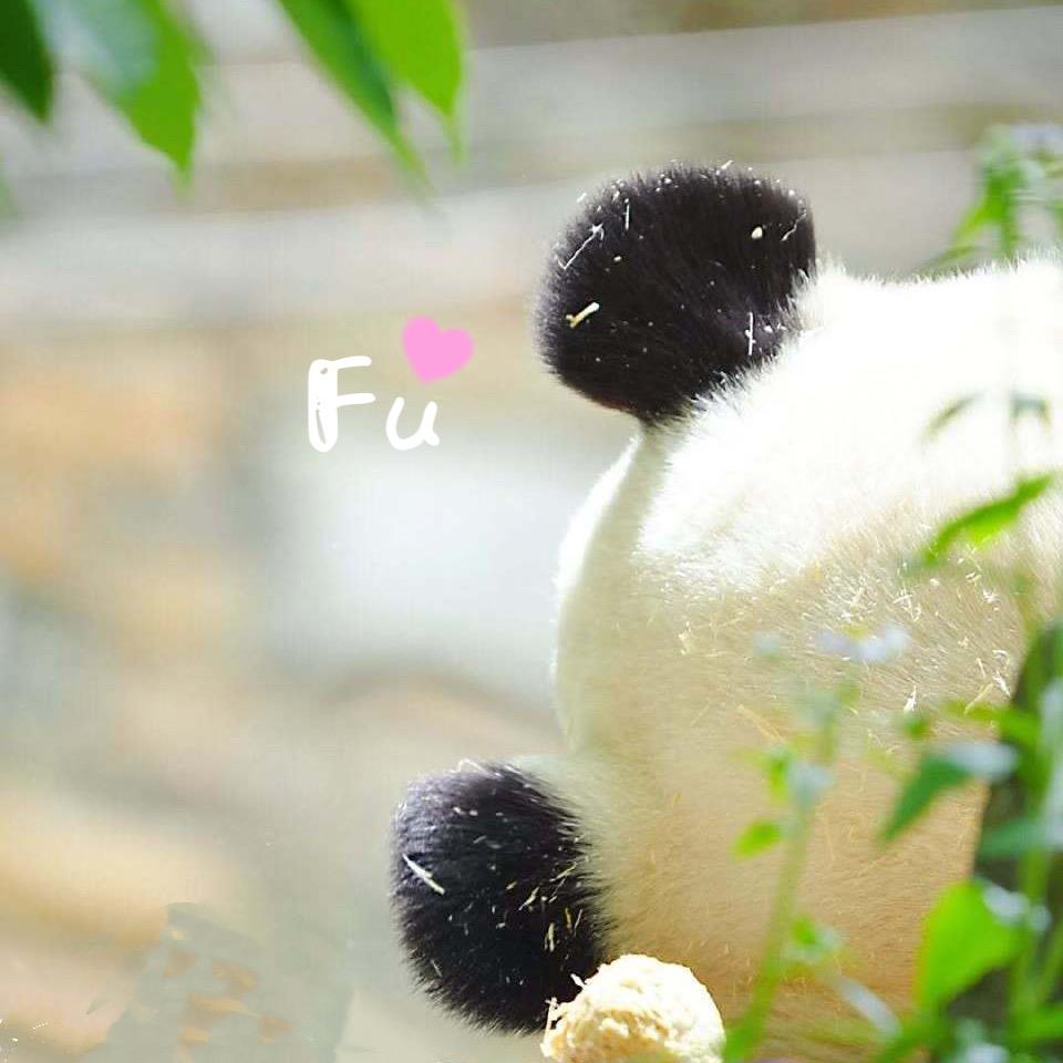 ෆ𝕡𝕚𝕟𝕜一ཽ下ཽ宝ᩚ