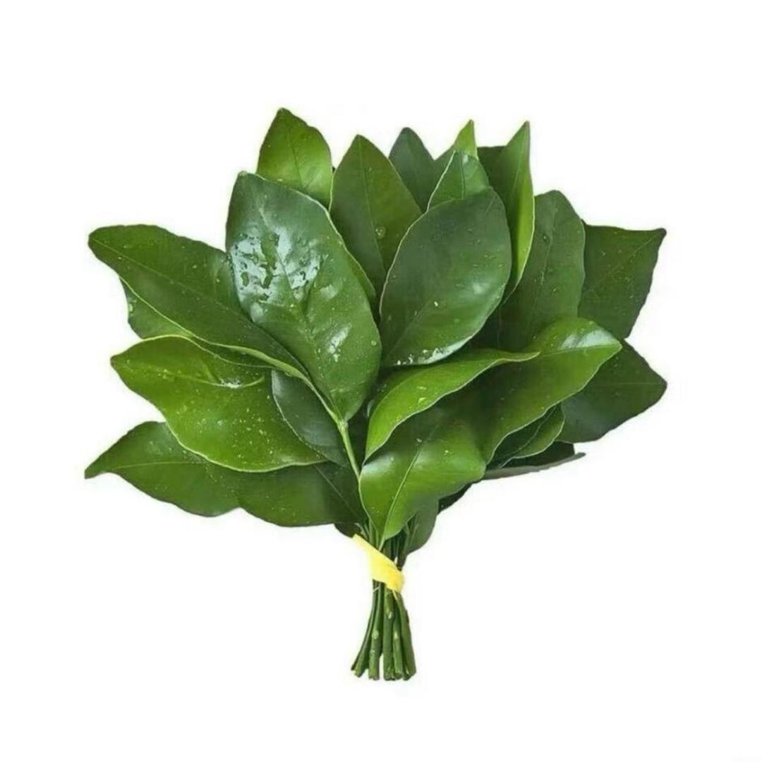 憨