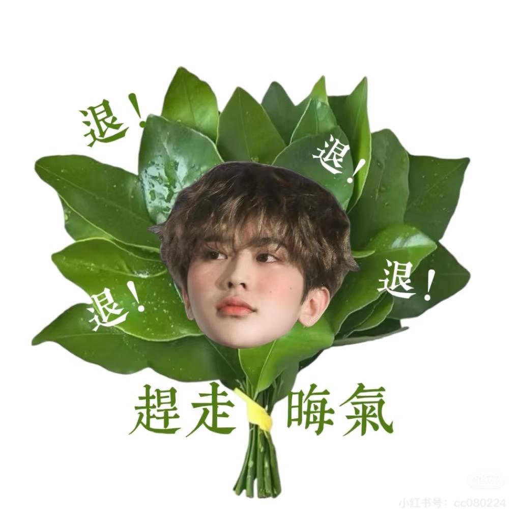 泡泡西红柿（见过蔡徐坤版）