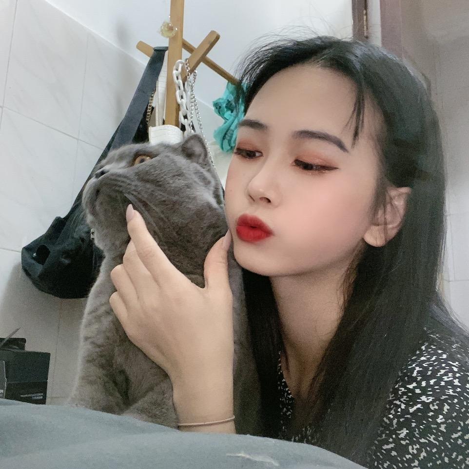 柒柒