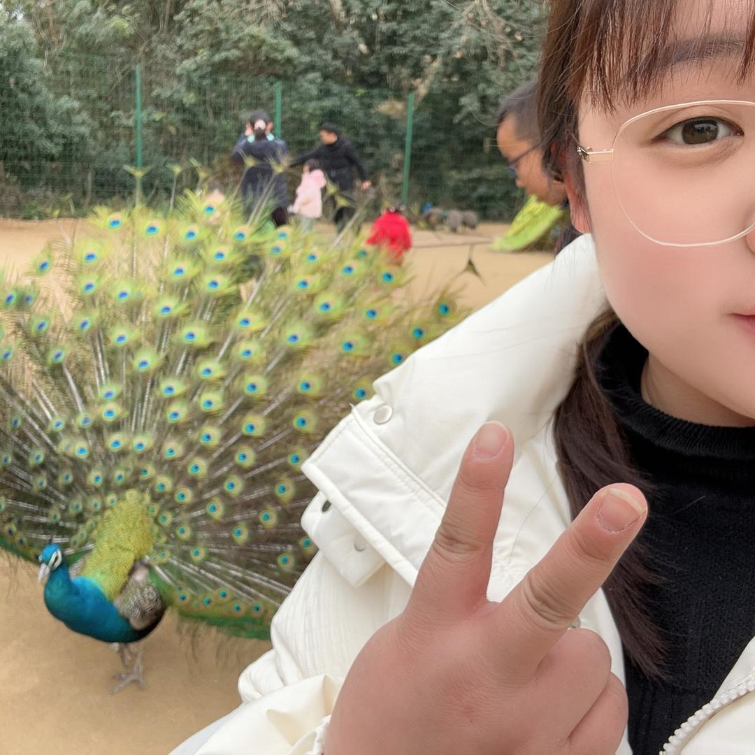 象也贸易