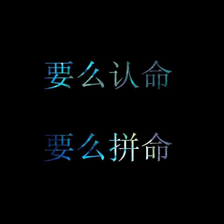 装饰老马
