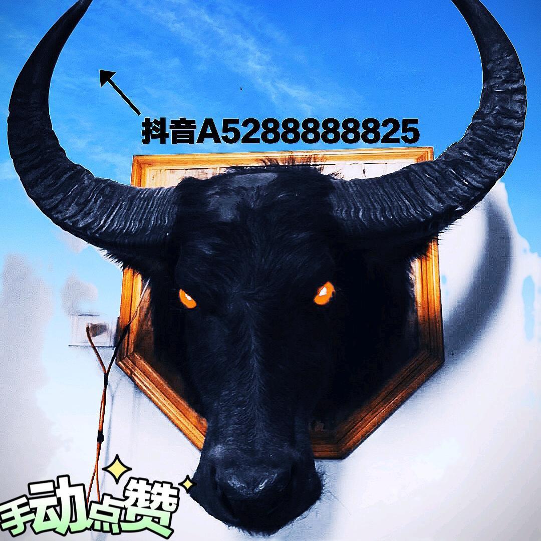 斗牛红绿灯