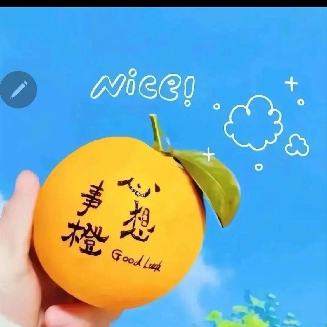 小木精选😊