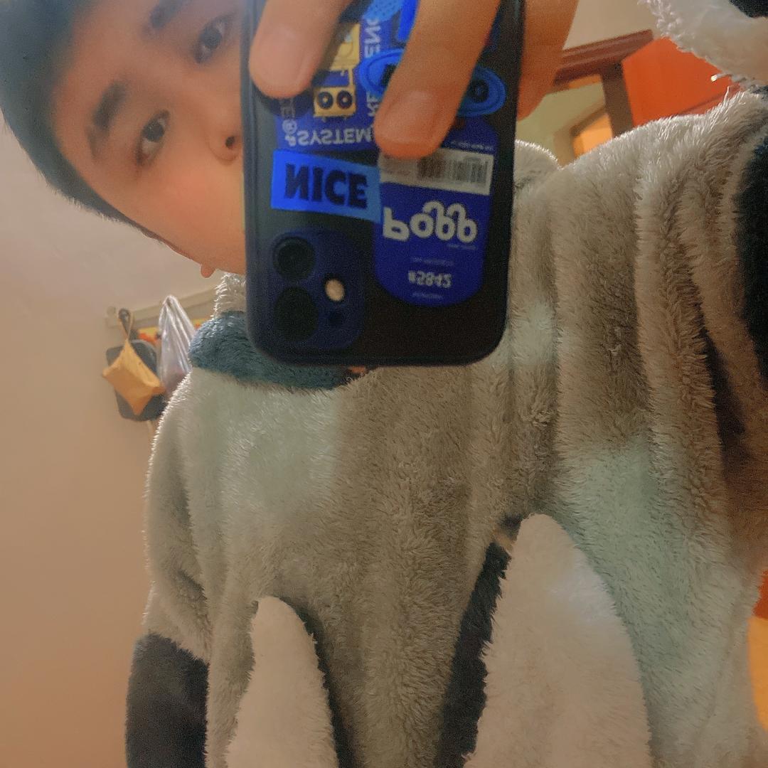 宝藏男孩