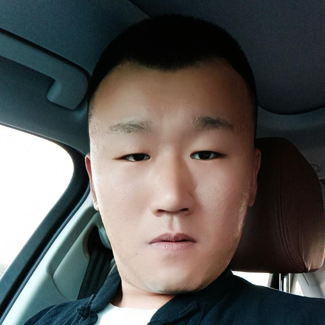 沉睡的狮子