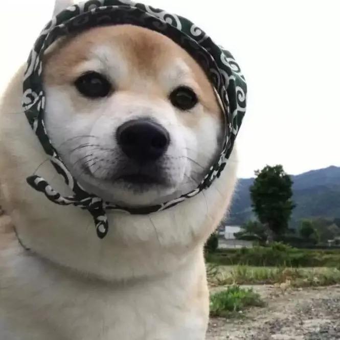 国产丫头郑小胖