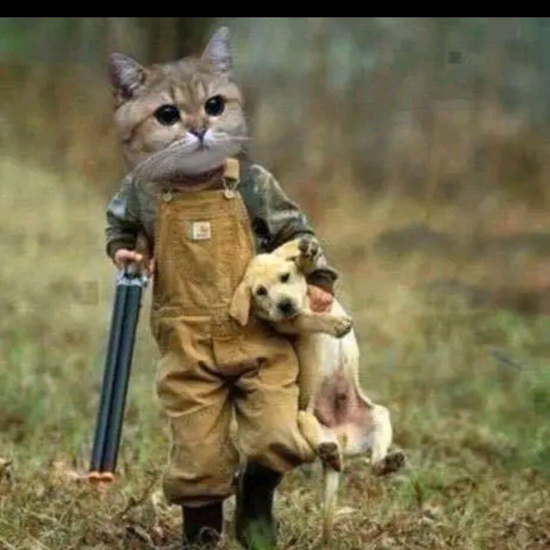 🥀转身陌路🍃