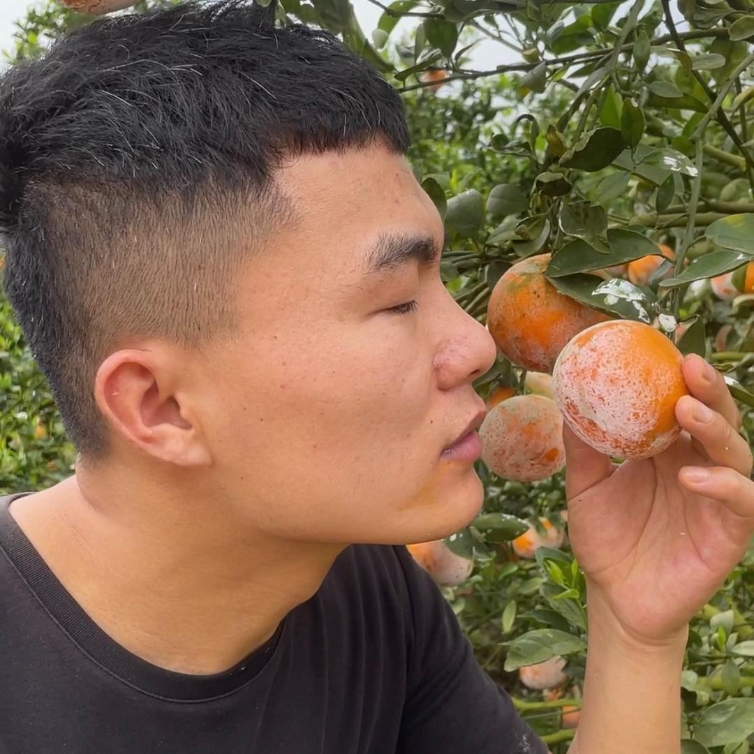 小鲜肉鲜果