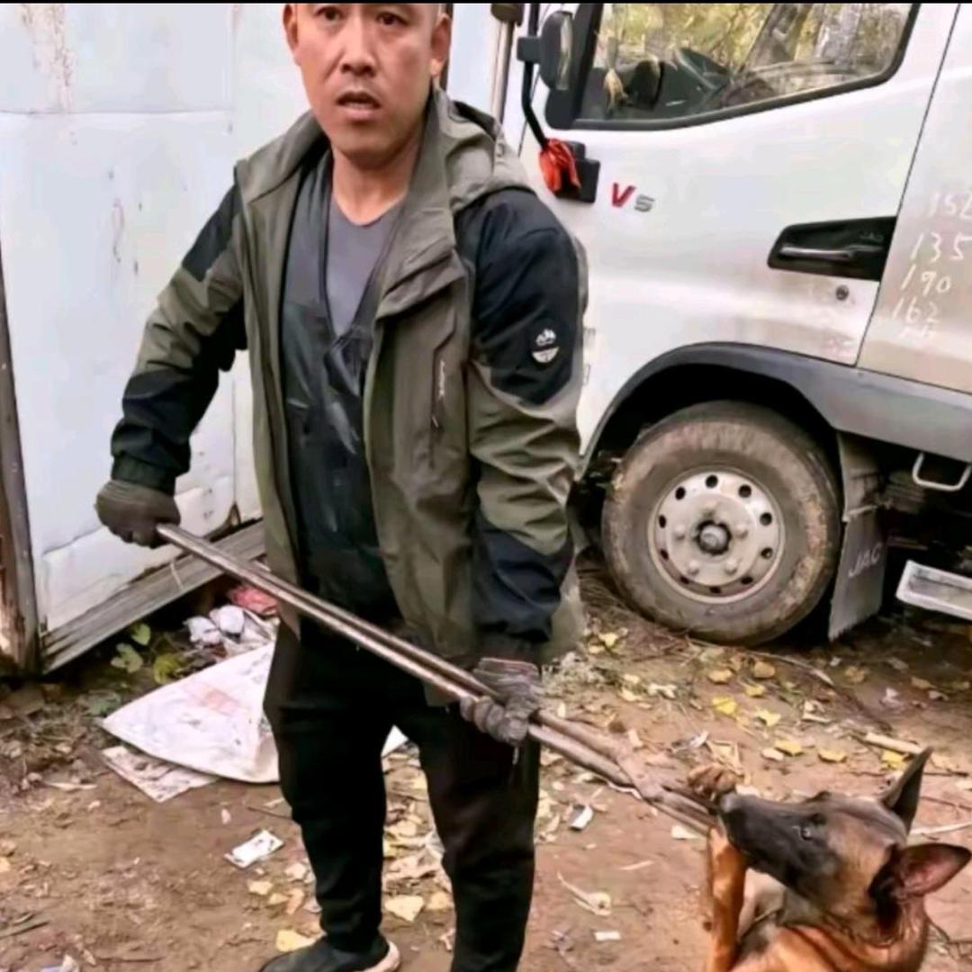 AAA专业套狗胡师傅（看见舔狗一律套走）