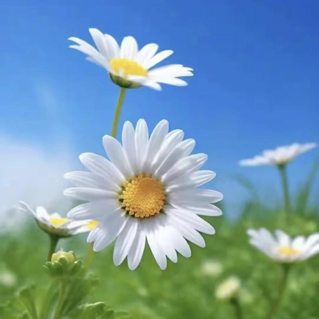 蜕变后的冷漠