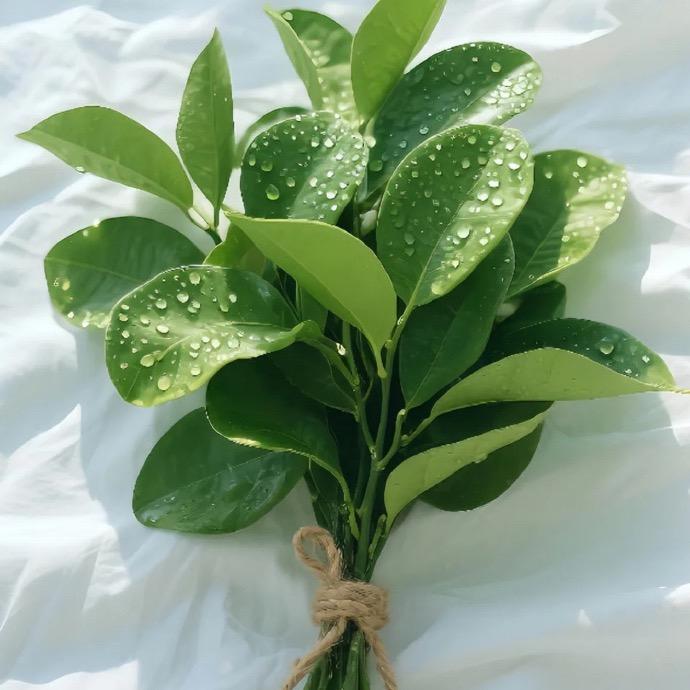 阿飛🍀