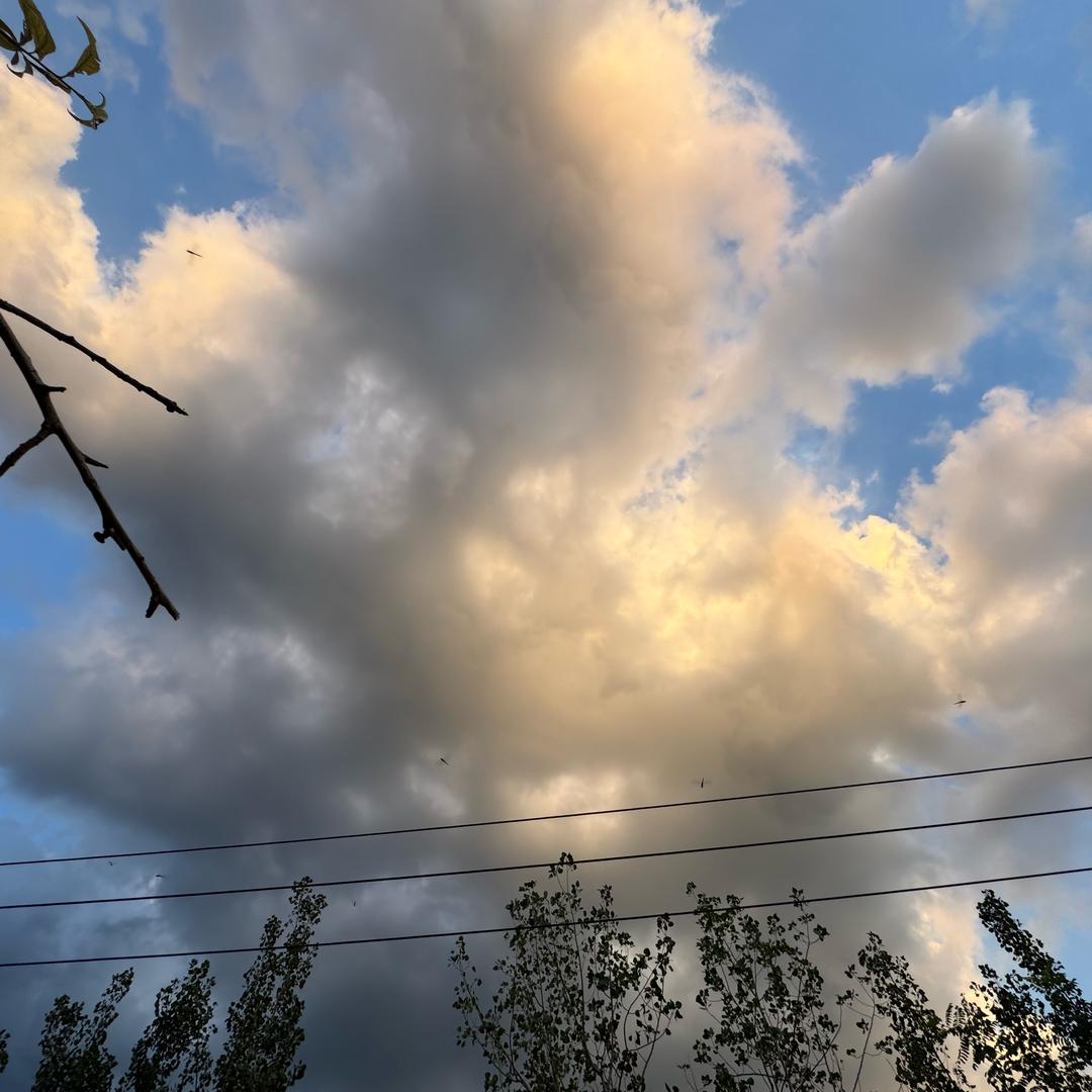 卟懂鍀唁语