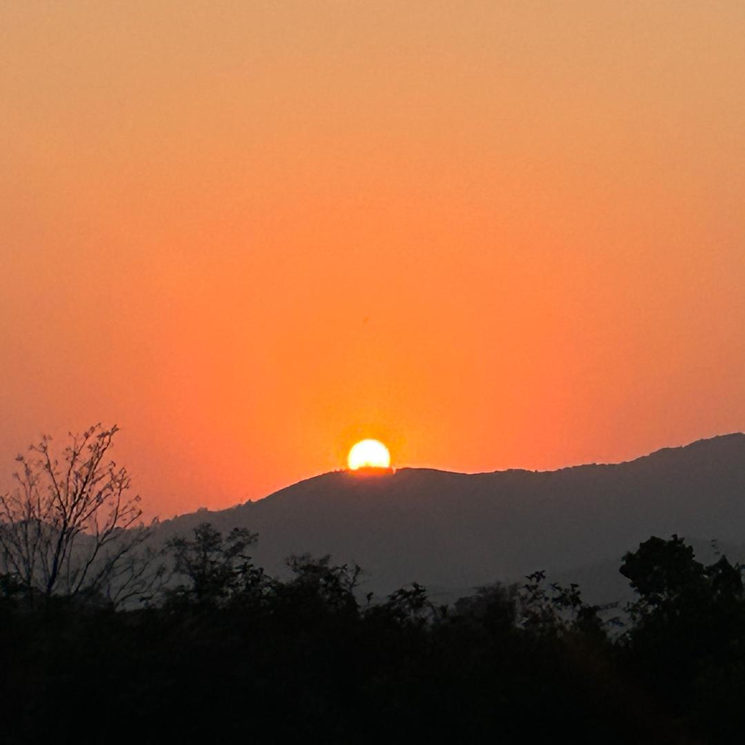 杨杨杨
