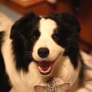 🍬糖果味的软糖🍬