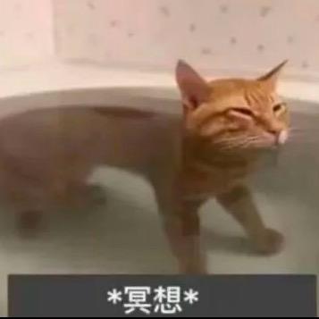 天亮了 雨下了 你走了
